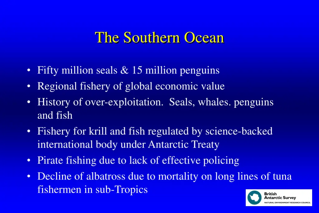 the southern ocean