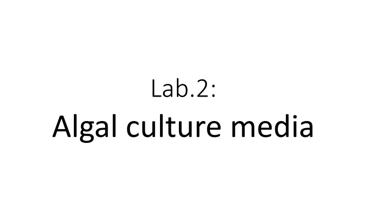 lab 2