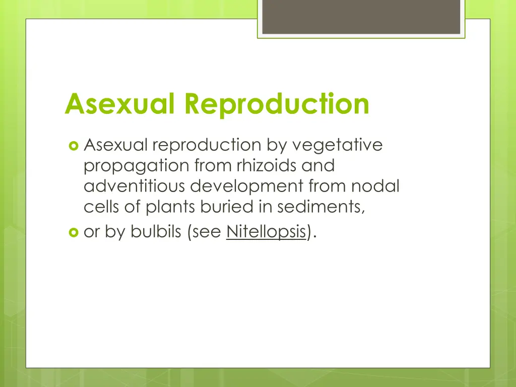 asexual reproduction