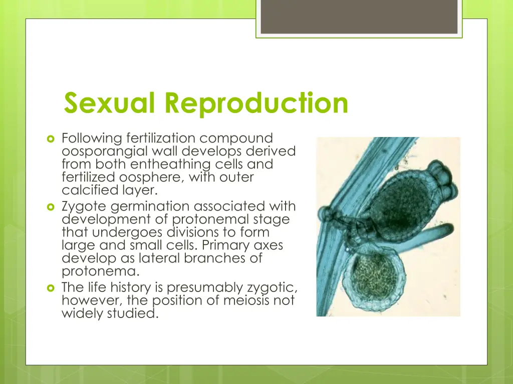 sexual reproduction 1