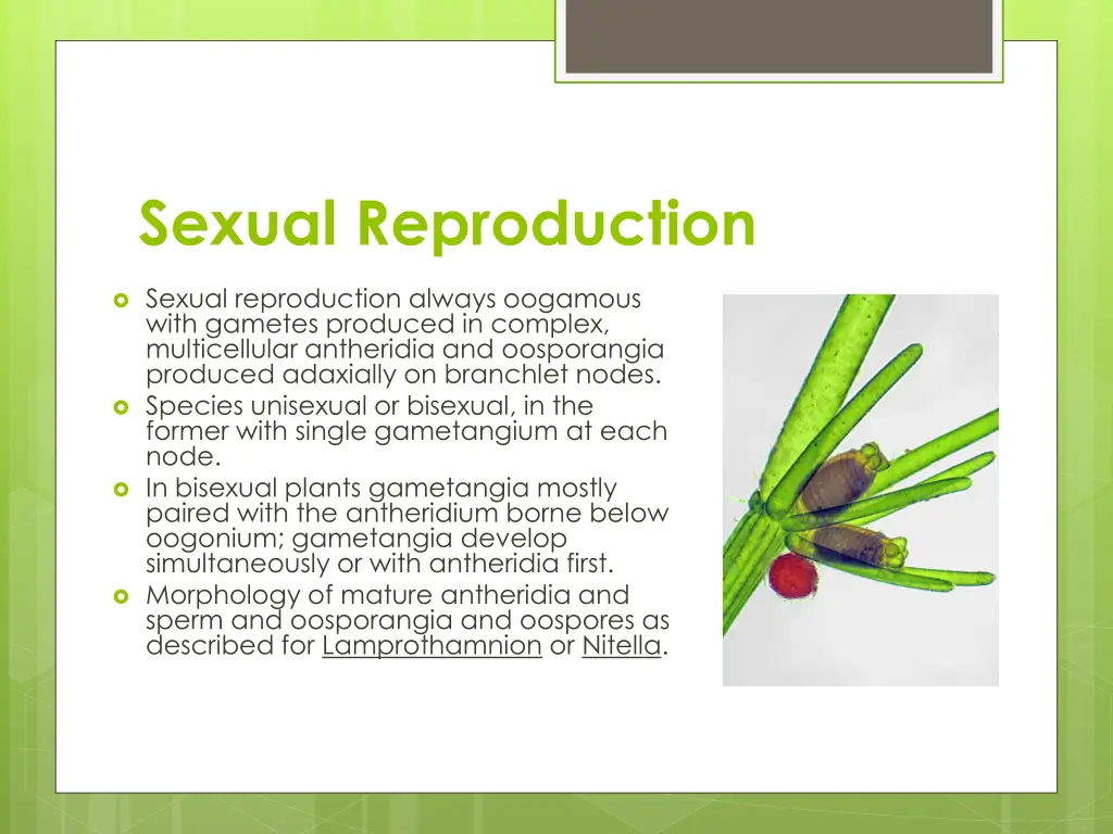 sexual reproduction