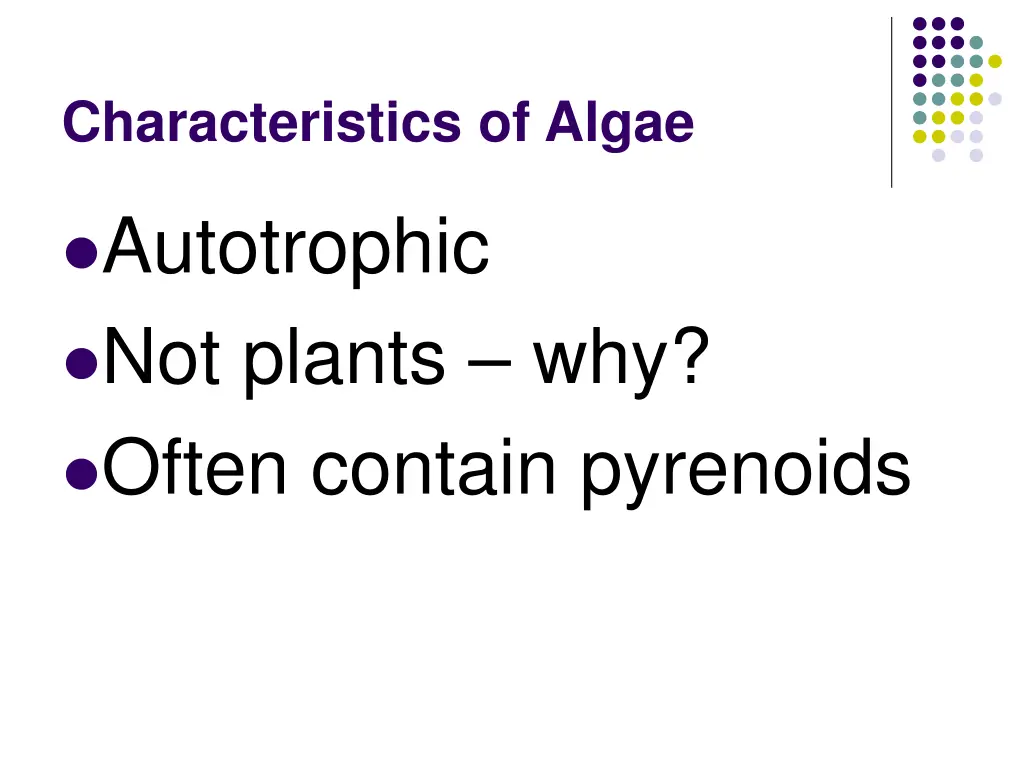 characteristics of algae