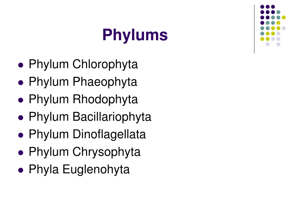 phylums