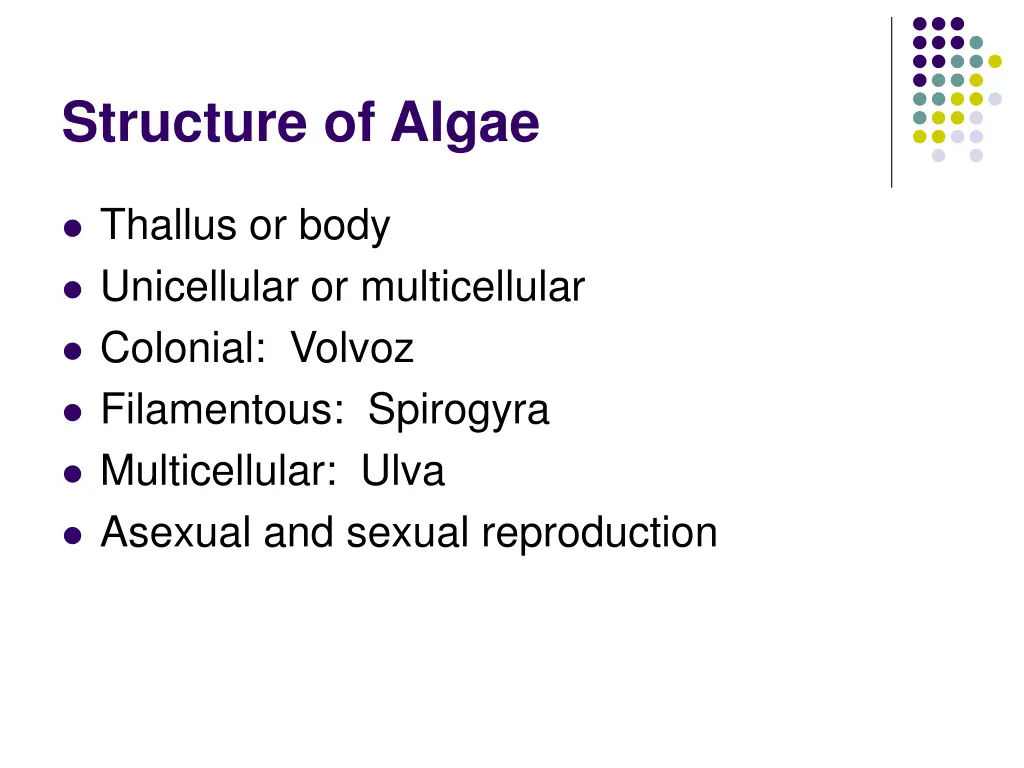 structure of algae