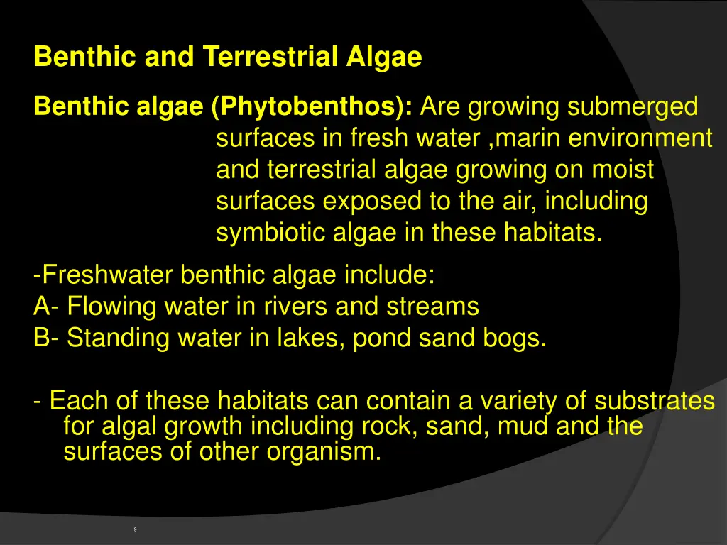 benthic and terrestrial algae