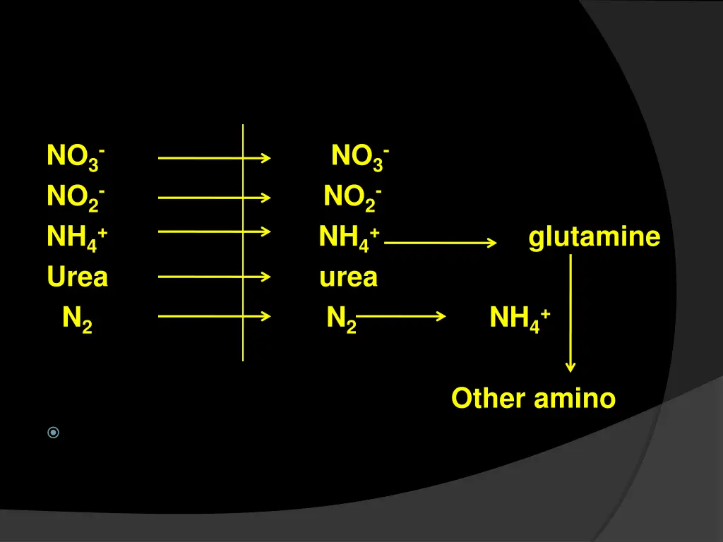 no 3 no 2 nh 4 urea urea n 2