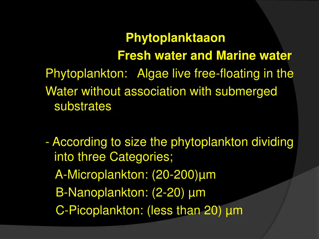 phytoplanktaaon fresh water and marine water