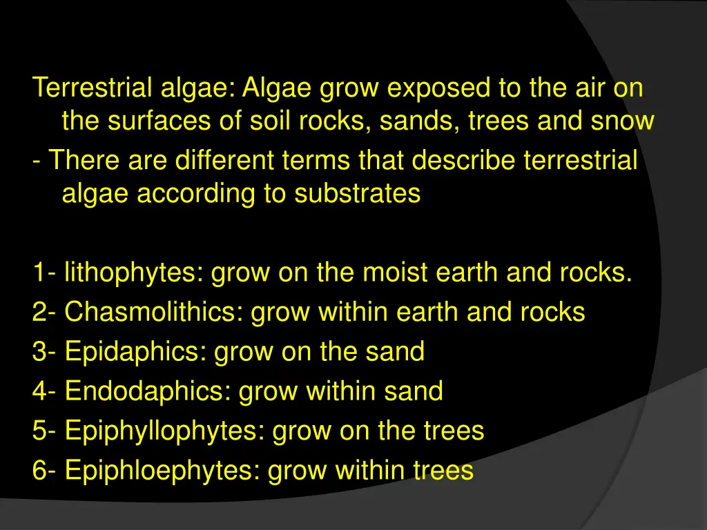 terrestrial algae algae grow exposed