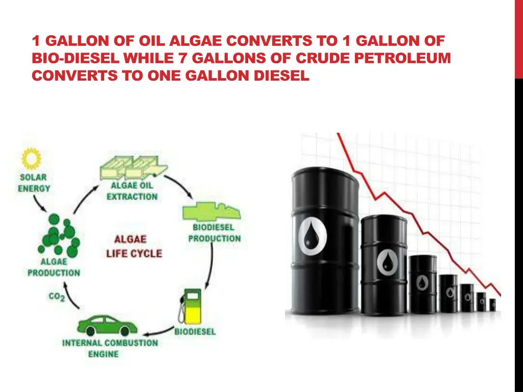 1 gallon of oil algae converts to 1 gallon