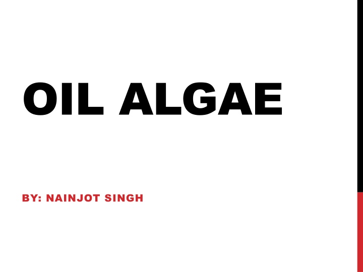 oil algae