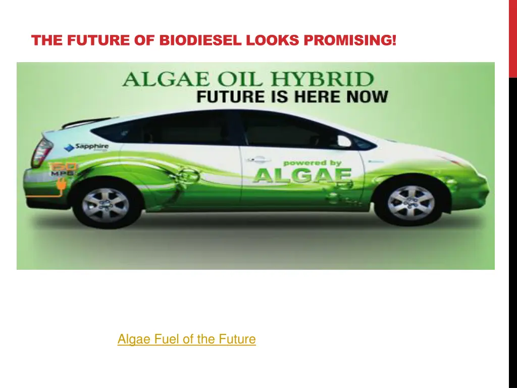 the future of biodiesel looks promising