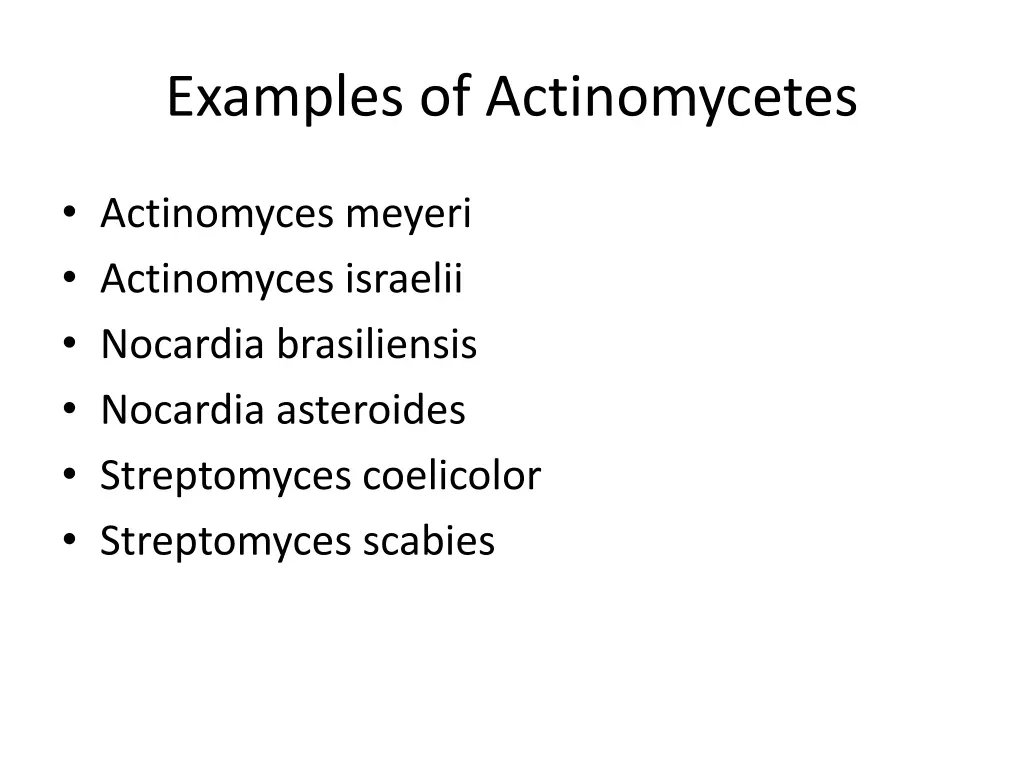 examples of actinomycetes