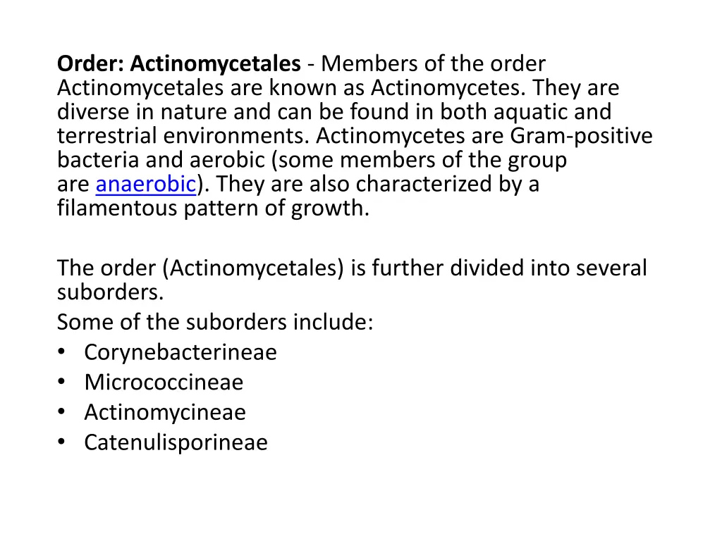 order actinomycetales members of the order