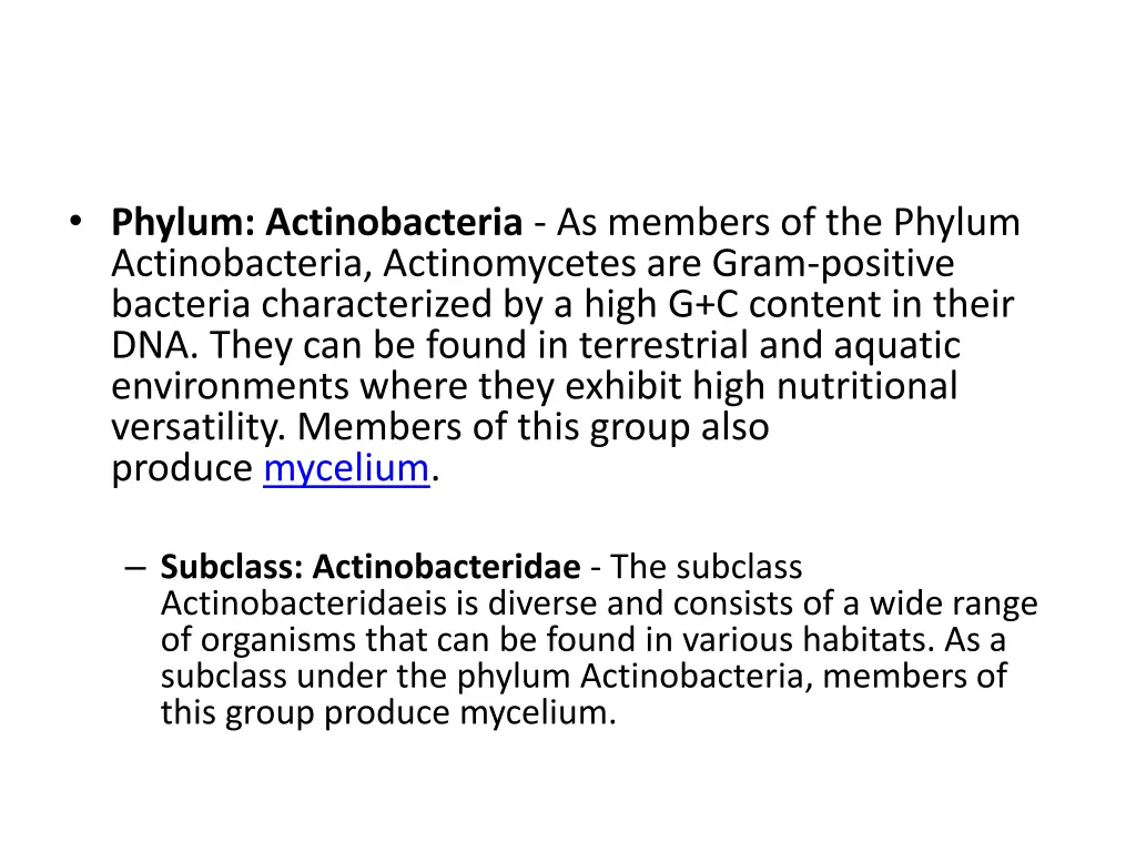 phylum actinobacteria as members of the phylum