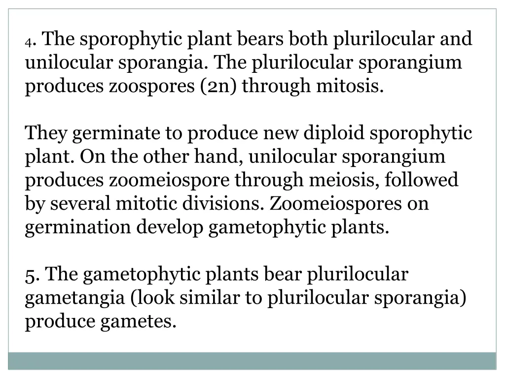 4 the sporophytic plant bears both plurilocular