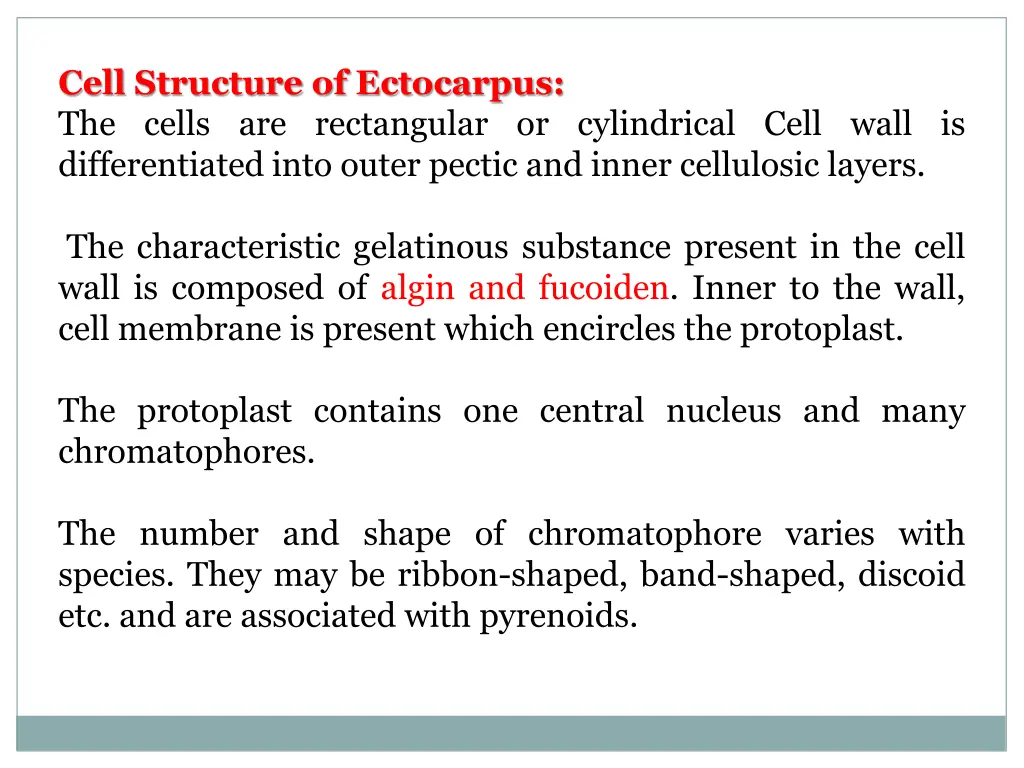 cell structure of ectocarpus the cells