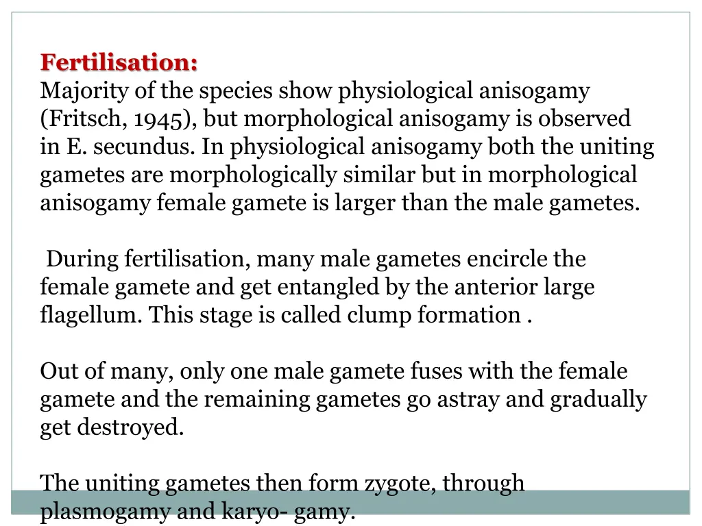 fertilisation majority of the species show