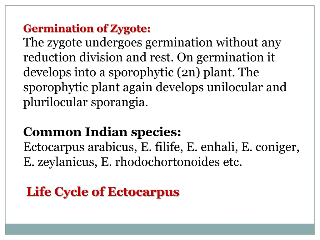 germination of zygote the zygote undergoes