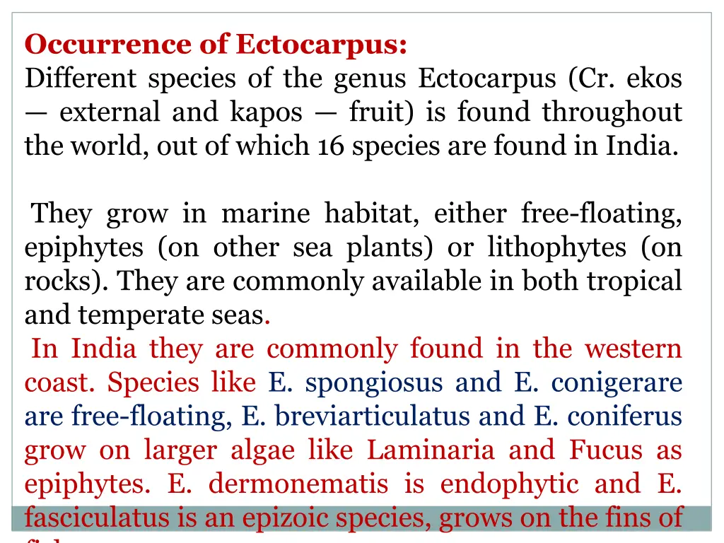 occurrence of ectocarpus different species