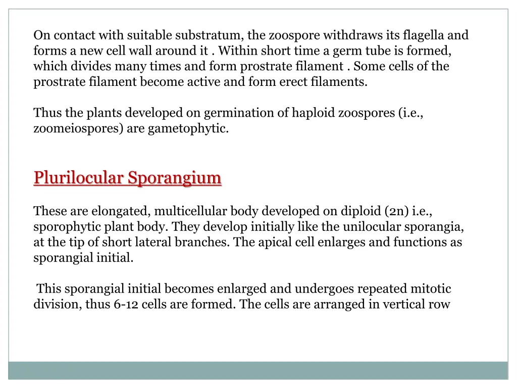 on contact with suitable substratum the zoospore