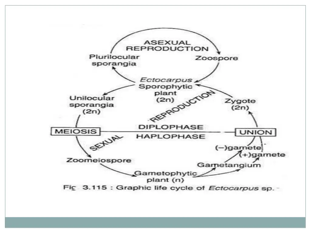 slide23