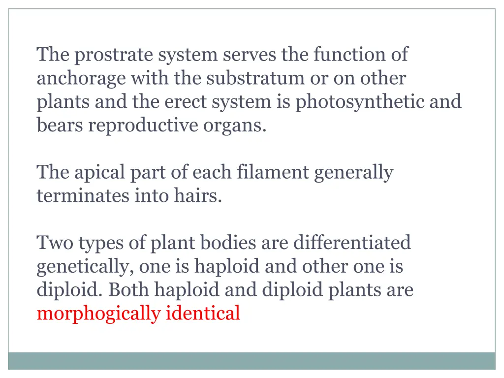 the prostrate system serves the function