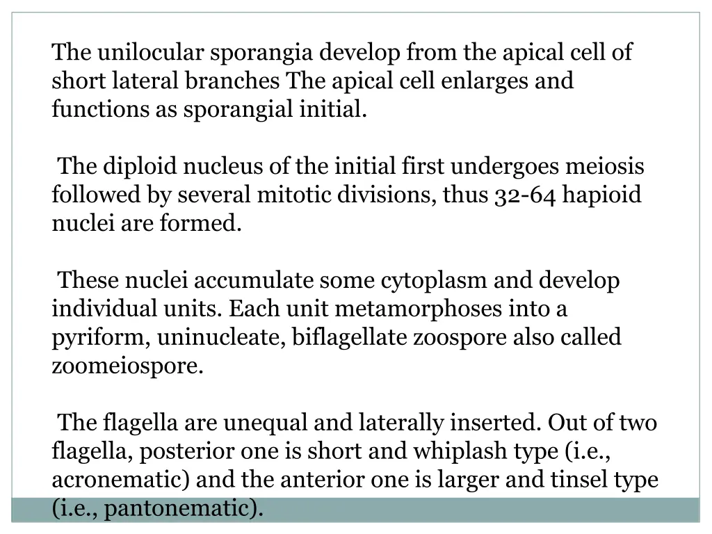 the unilocular sporangia develop from the apical