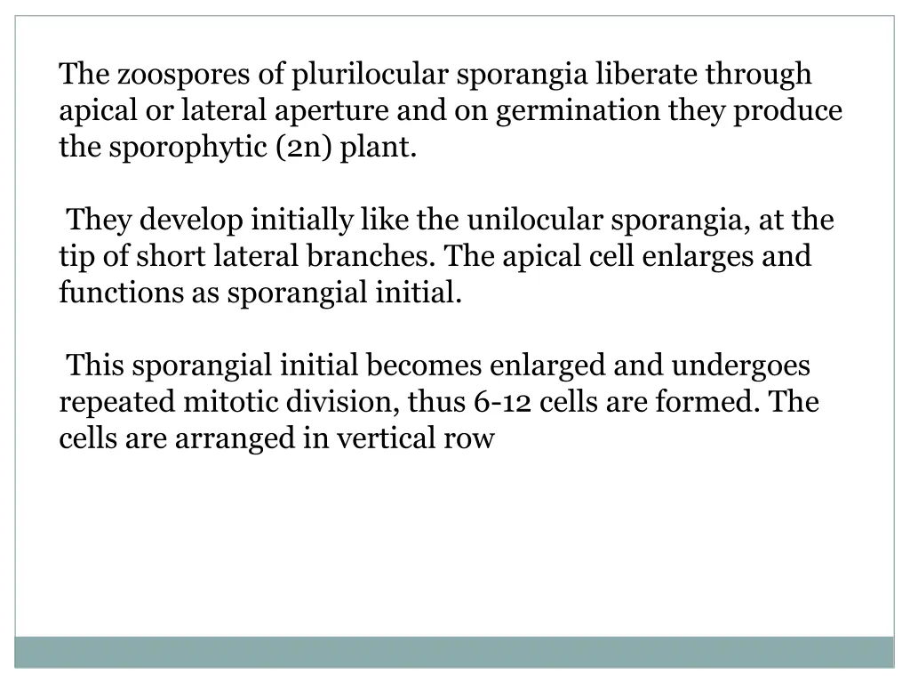 the zoospores of plurilocular sporangia liberate