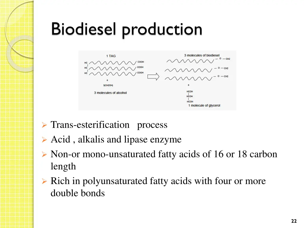 biodiesel production