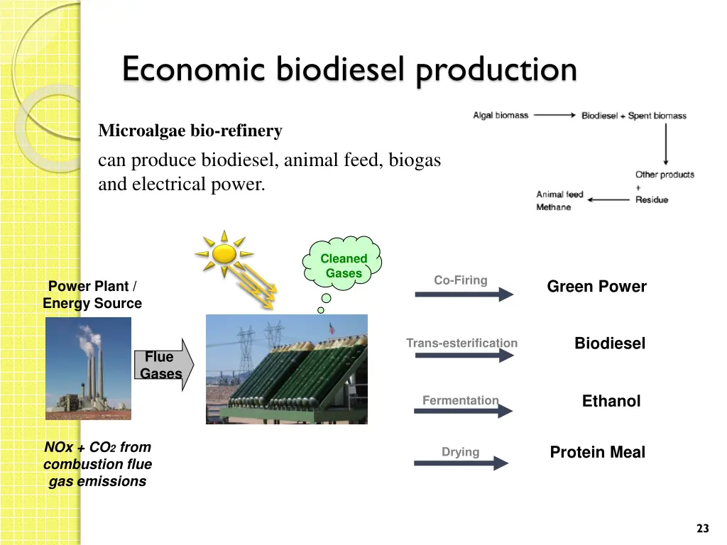 economic biodiesel production