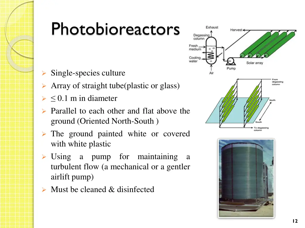 photobioreactors