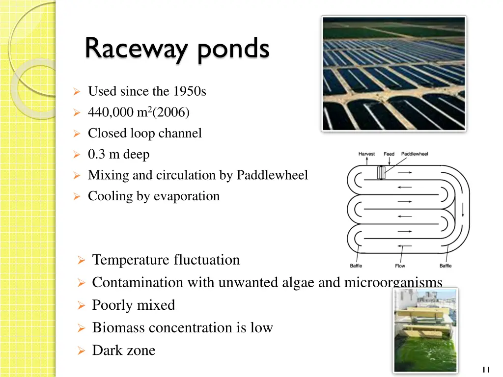 raceway ponds