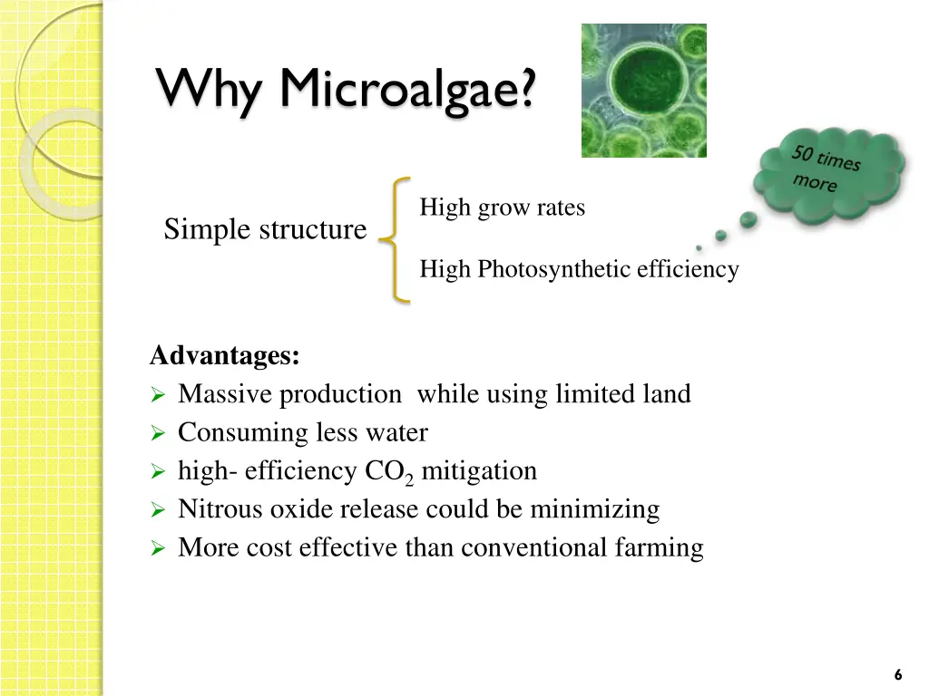 why microalgae