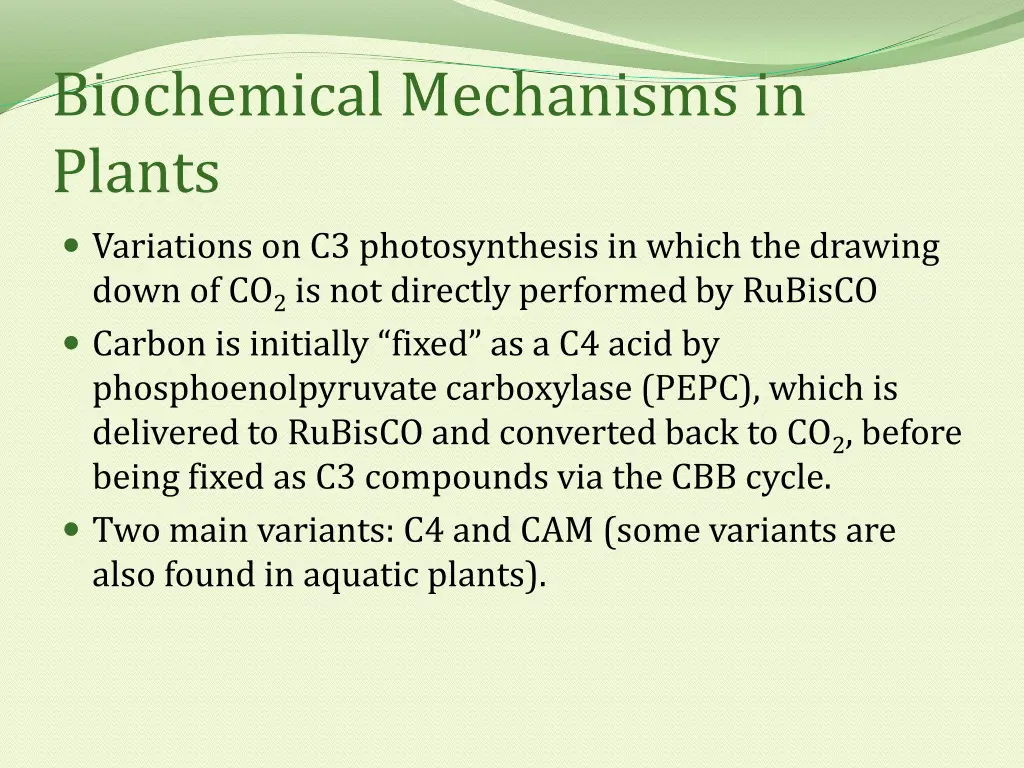 biochemical mechanisms in plants variations