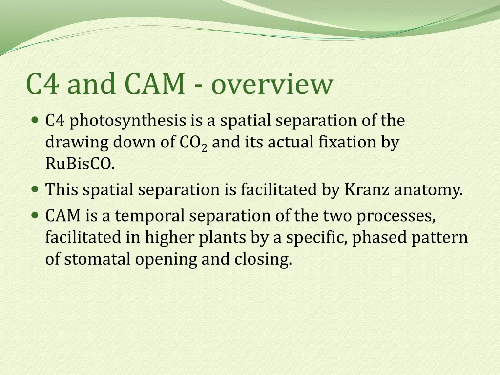 c4 and cam overview c4 photosynthesis