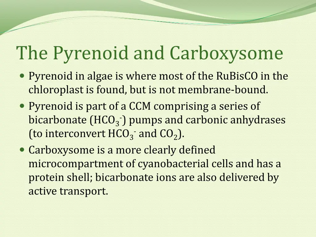 the pyrenoid and carboxysome pyrenoid in algae