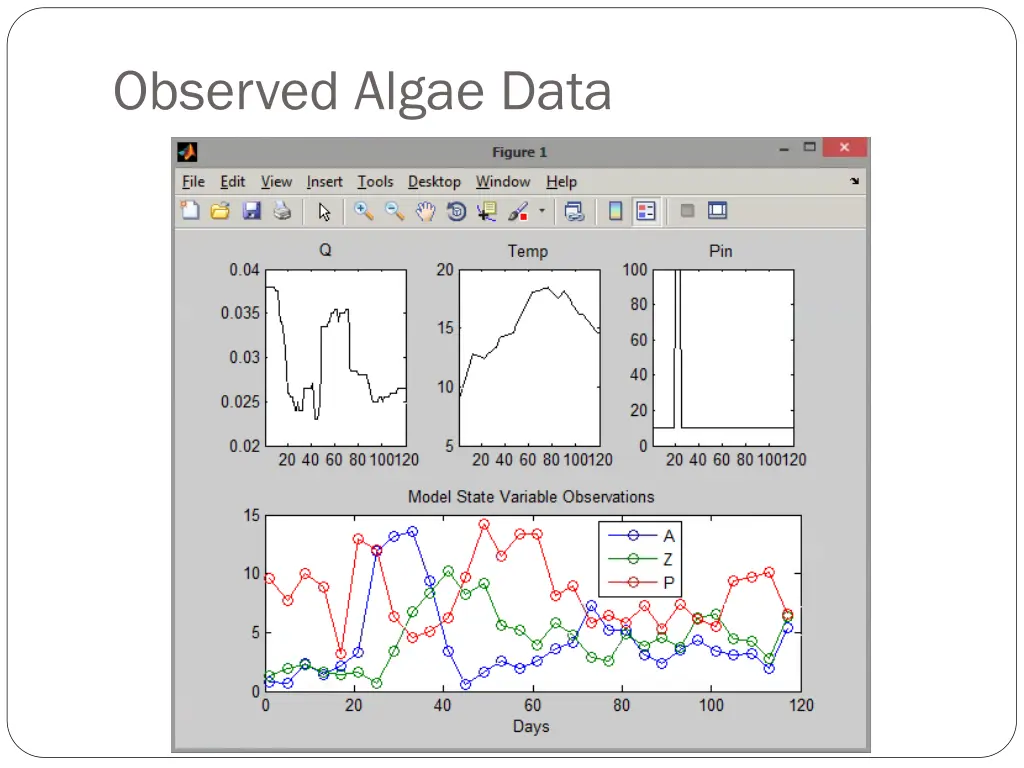 observed algae data