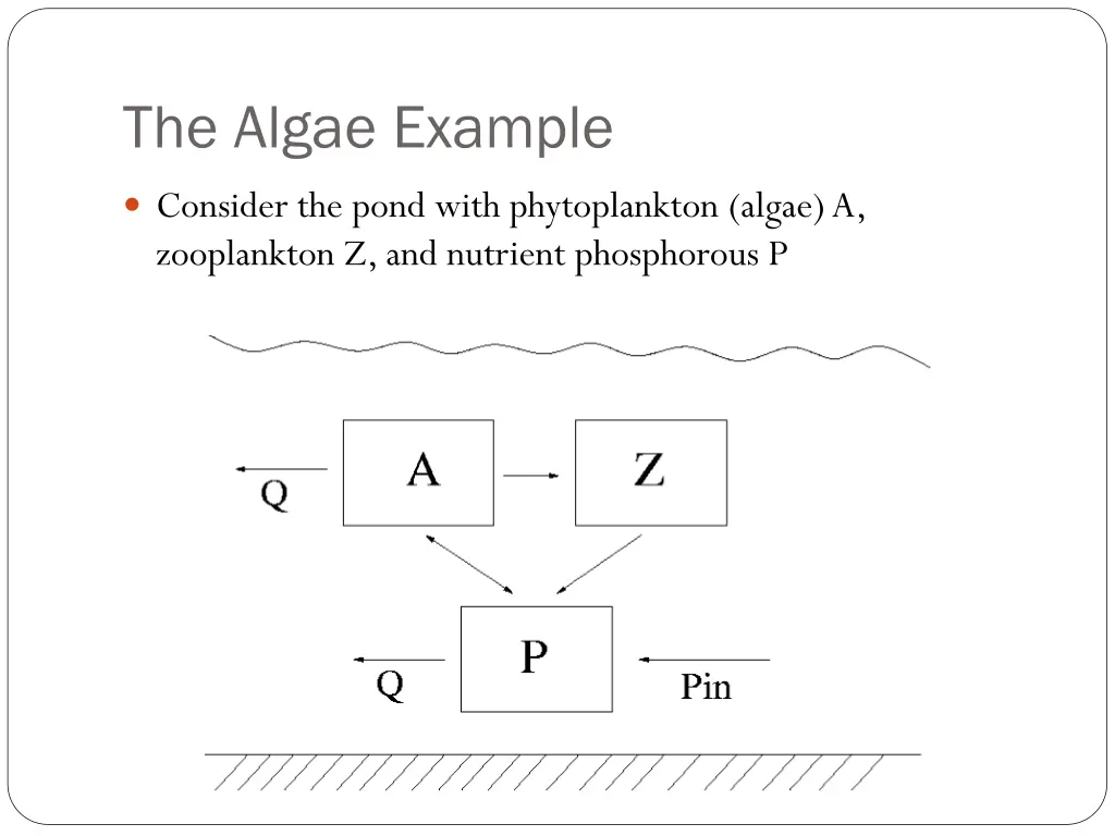 the algae example