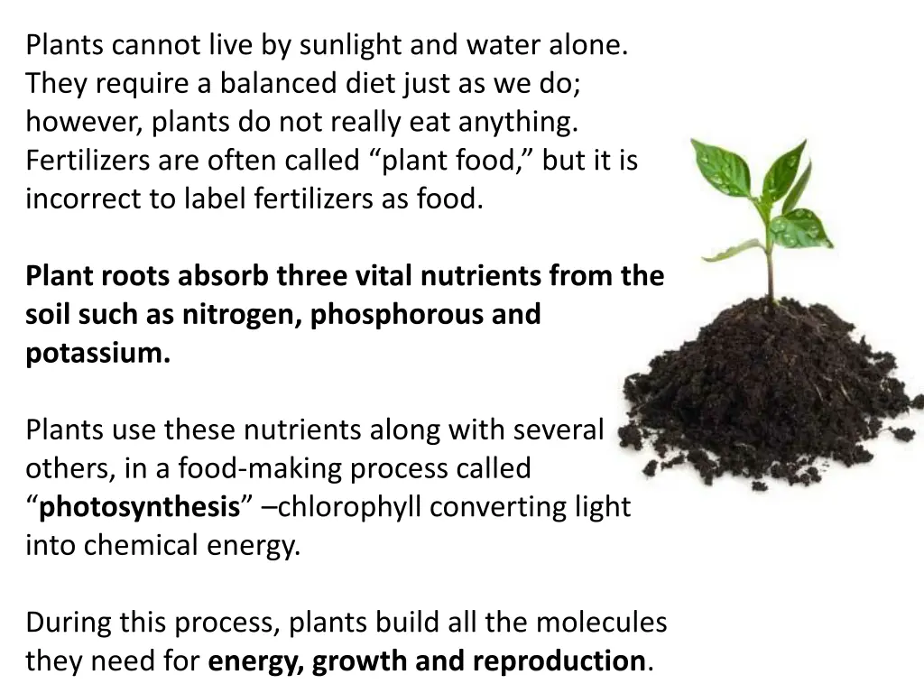 plants cannot live by sunlight and water alone