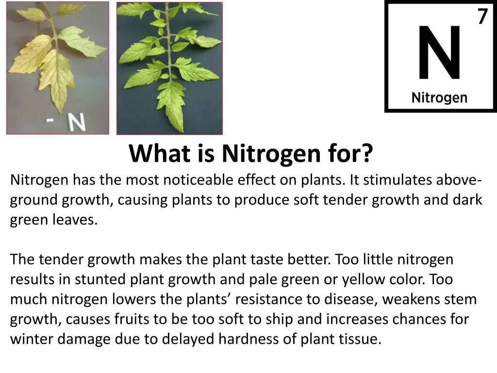 what is nitrogen for nitrogen has the most