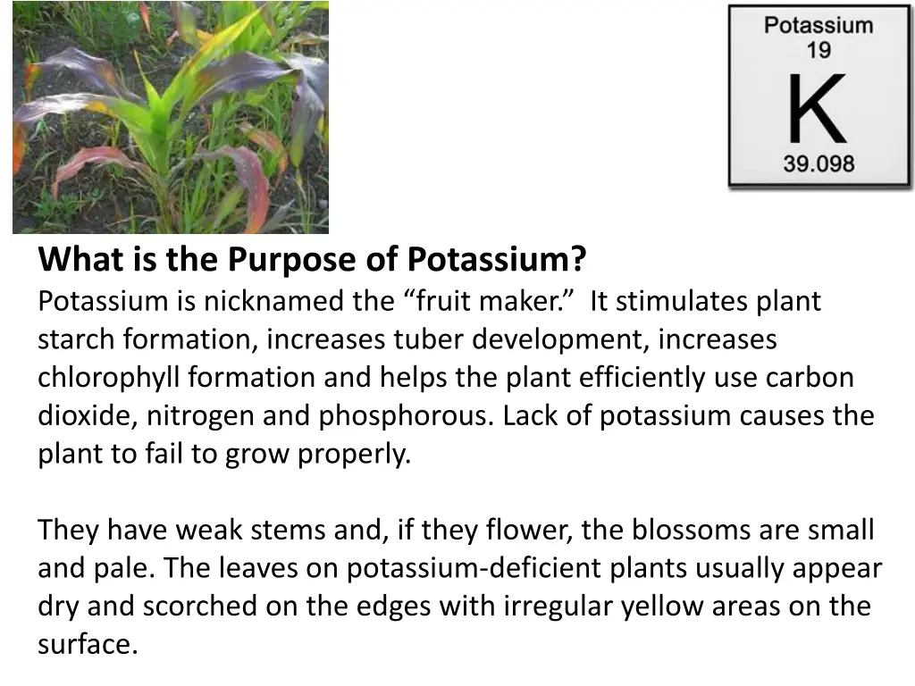 what is the purpose of potassium potassium