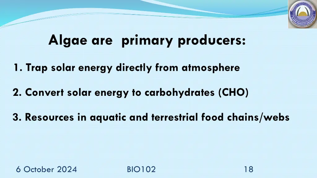 algae are primary producers