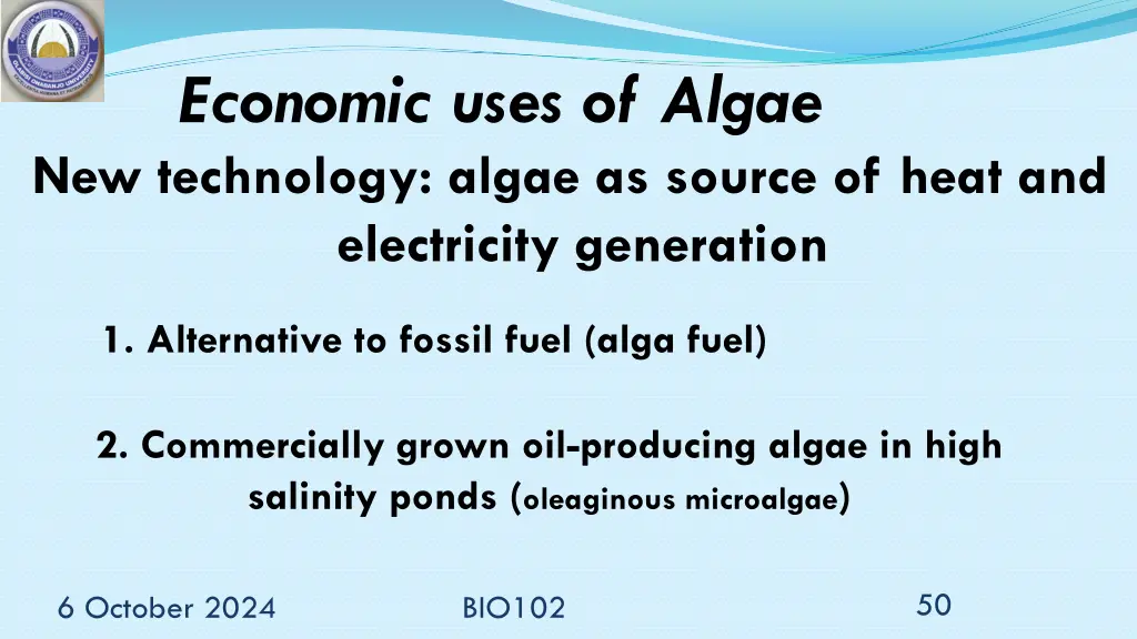 economic uses of algae new technology algae