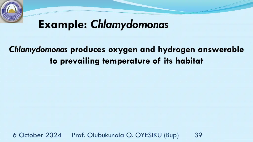 example chlamydomonas