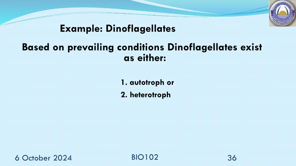 example dinoflagellates