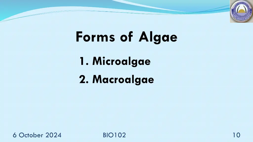 forms of algae