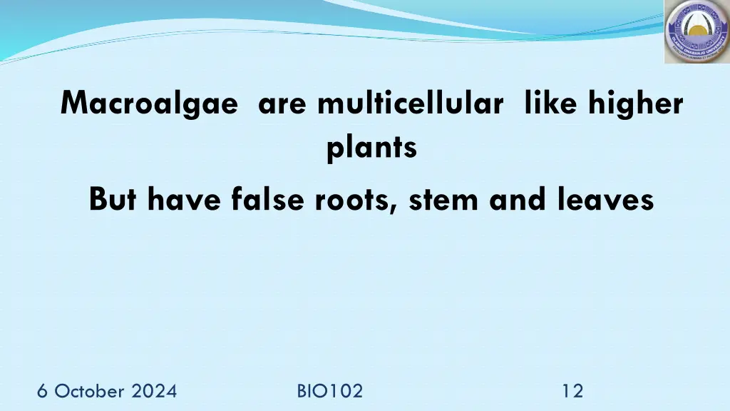 macroalgae are multicellular like higher plants