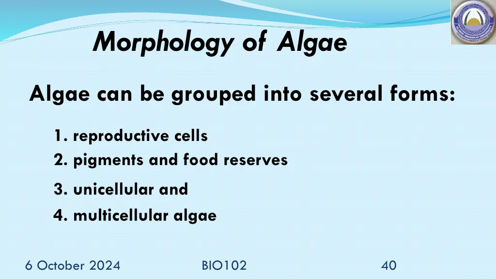 morphology of algae