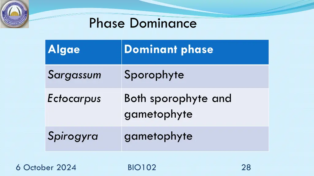 phase dominance