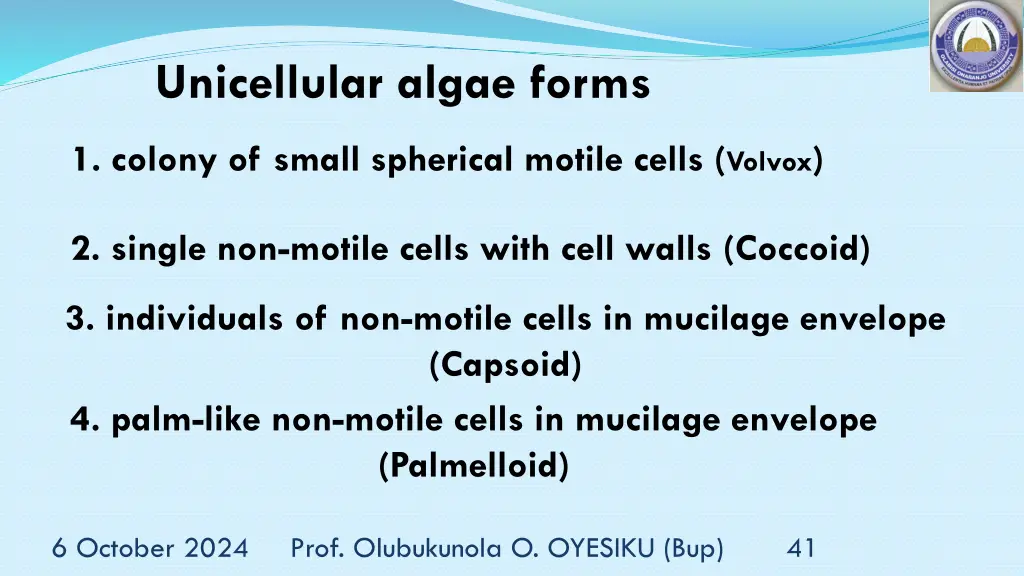 unicellular algae forms